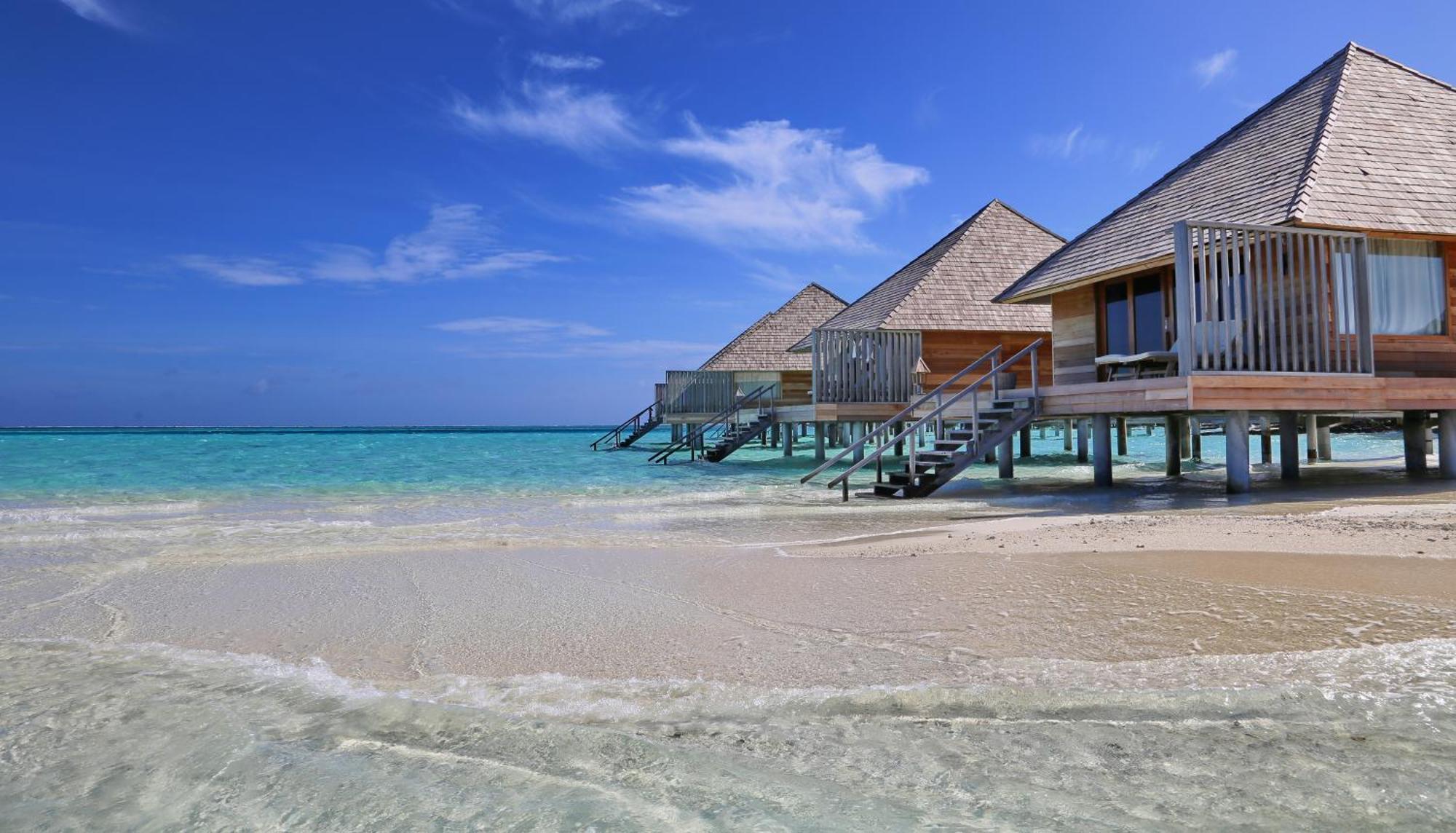 Gangehi Island Resort & Spa Стая снимка