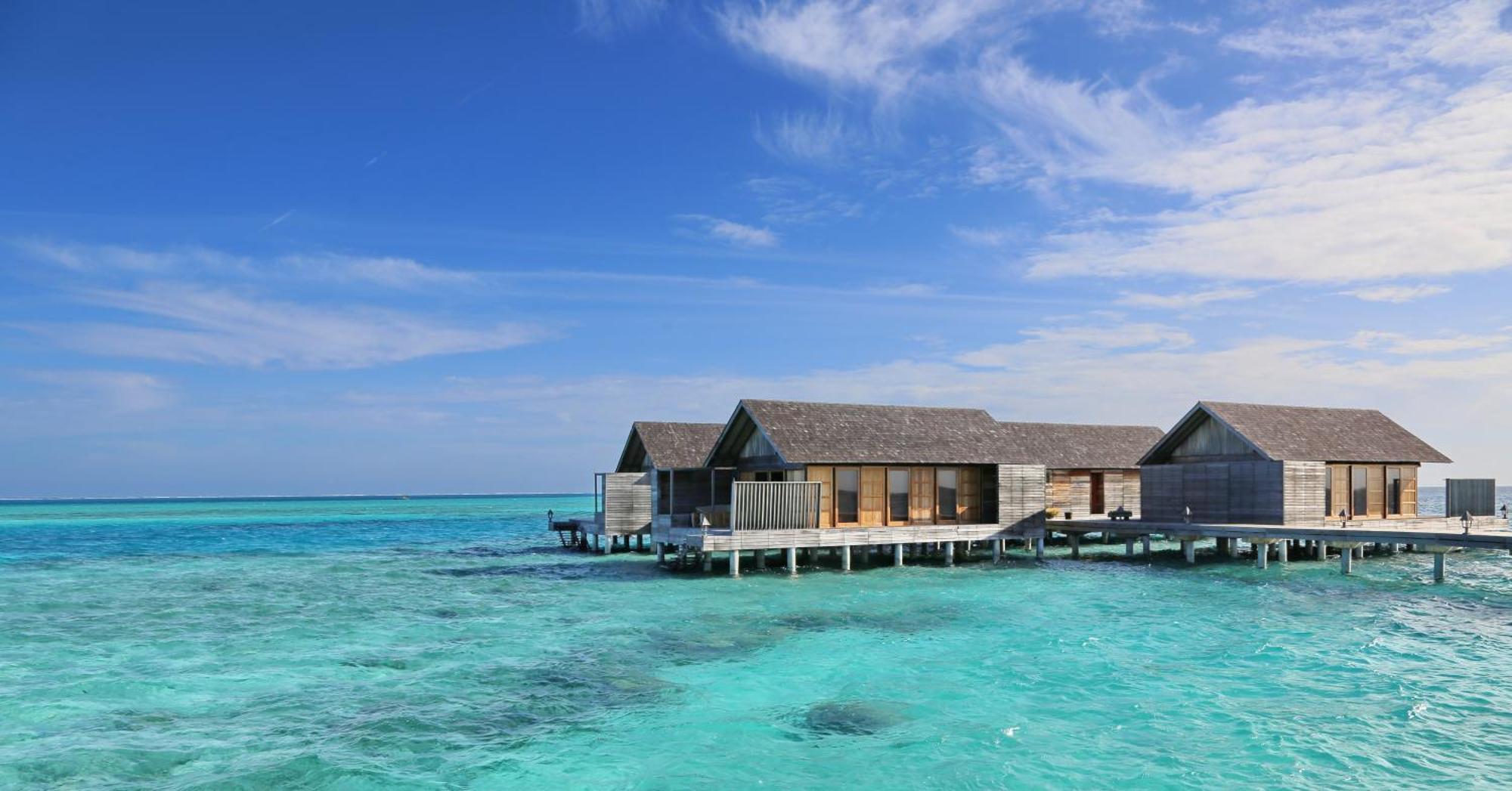 Gangehi Island Resort & Spa Стая снимка